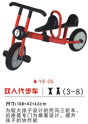 Y8-06双人代步车